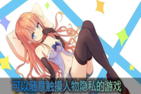 可触摸人物隐私的游戏大全