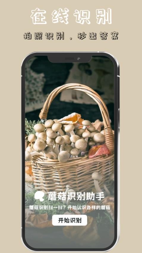 蘑菇识别高手app 1