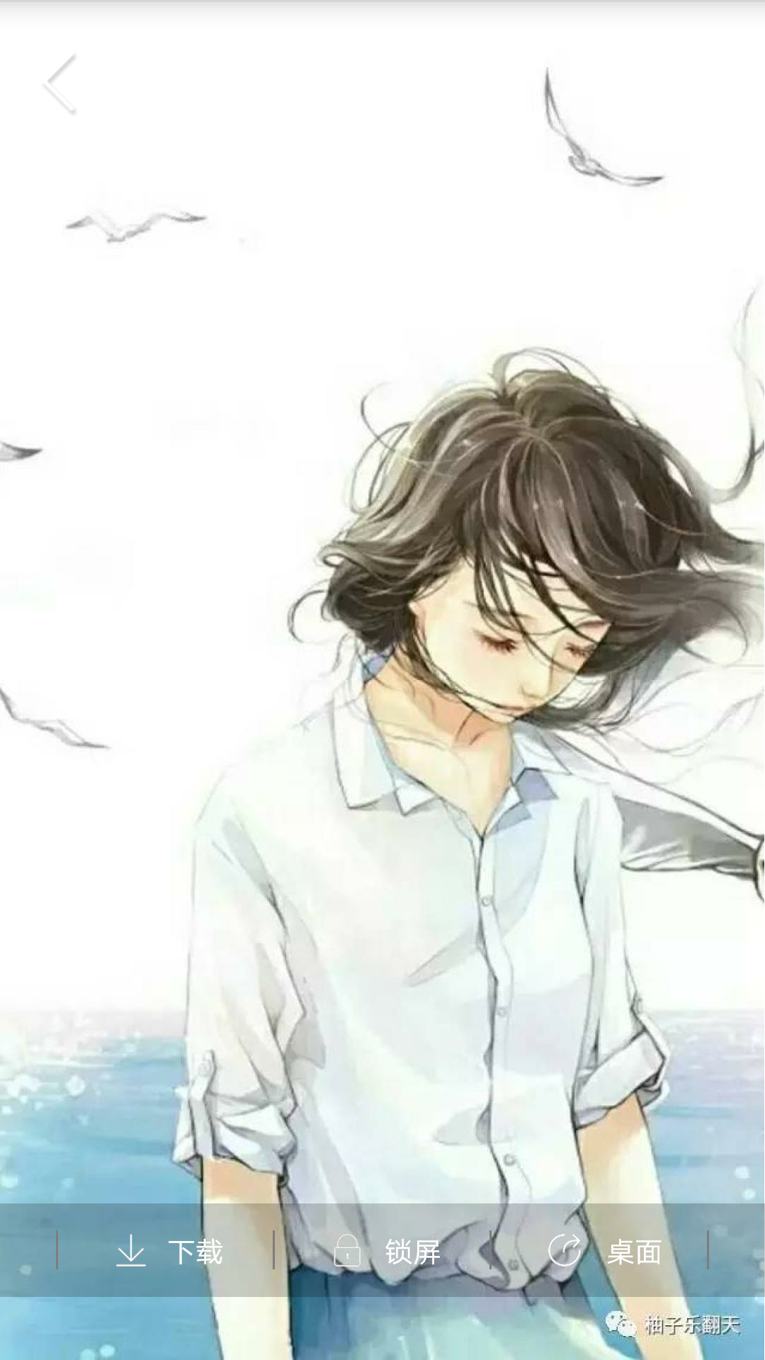 番茄主题壁纸app 2
