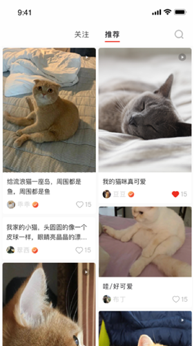 宠年年 2