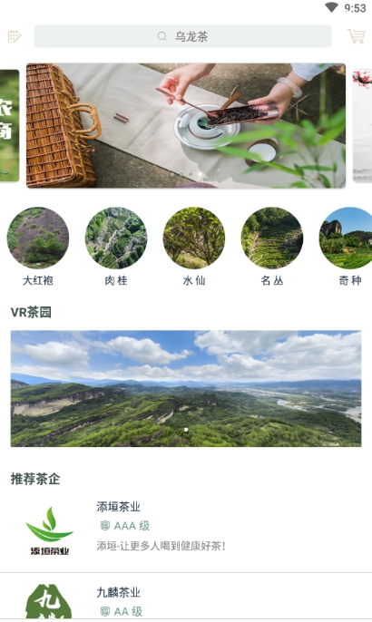 茶知了 1