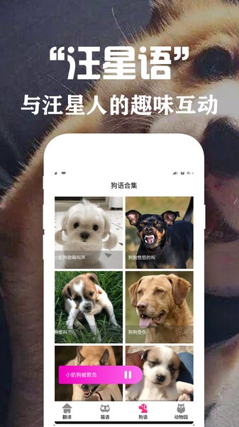 狗语翻译交流器免费版 1