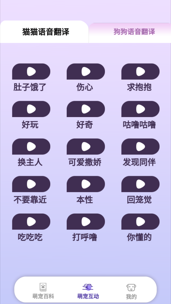 乖宠互动 1