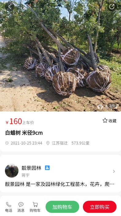 苗青青app 1