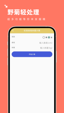 野菊轻处理 2