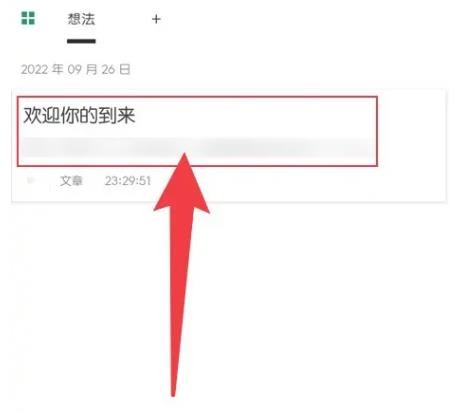 Timo笔记本 2