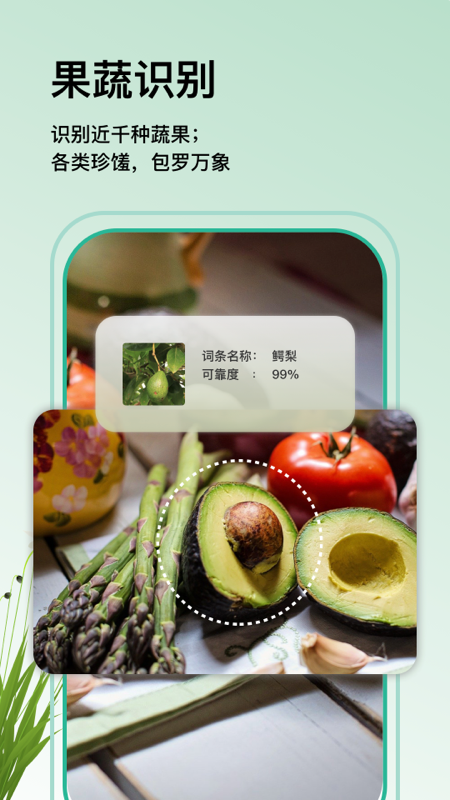 万物识图app 2