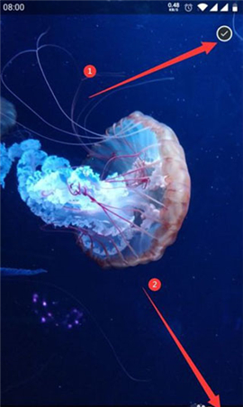 钓鱼人app