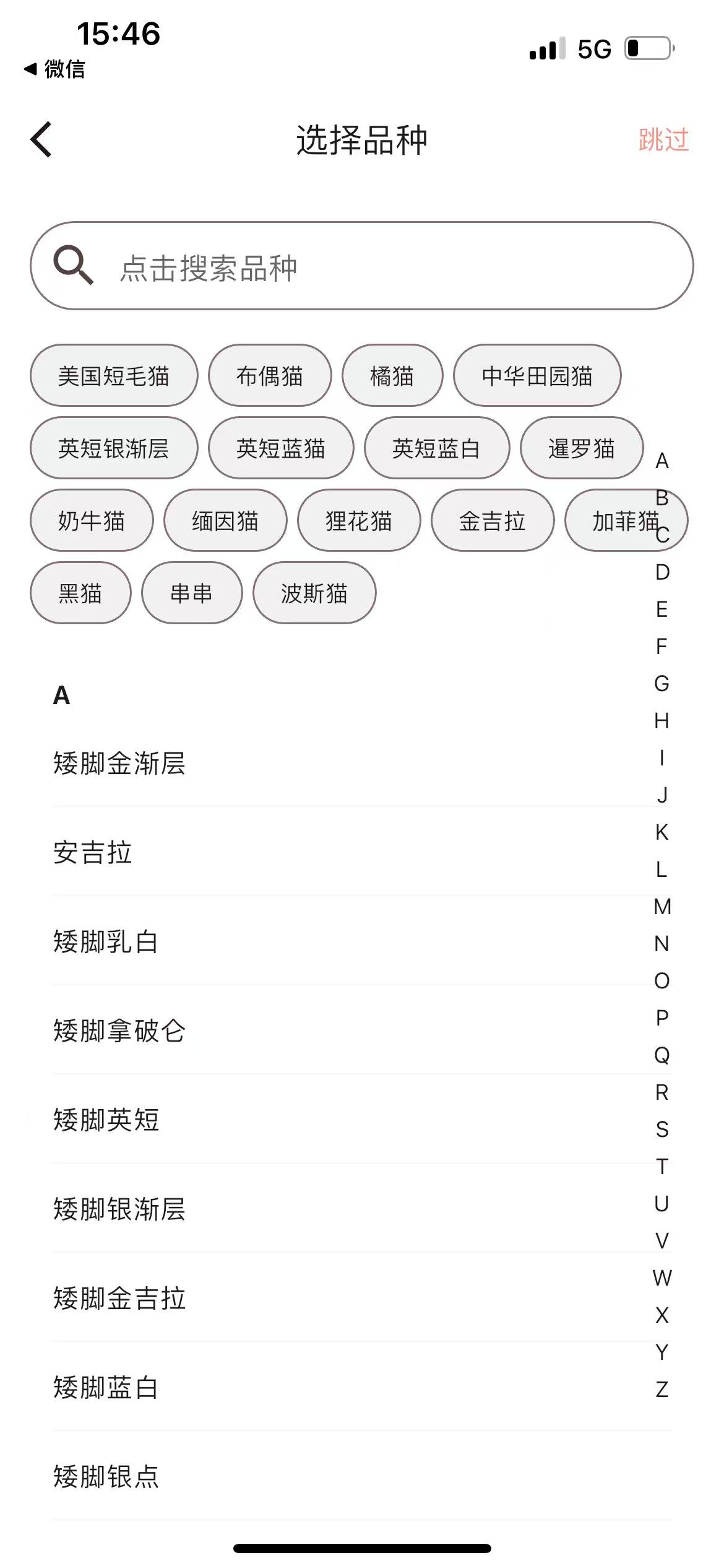 添加宠物5