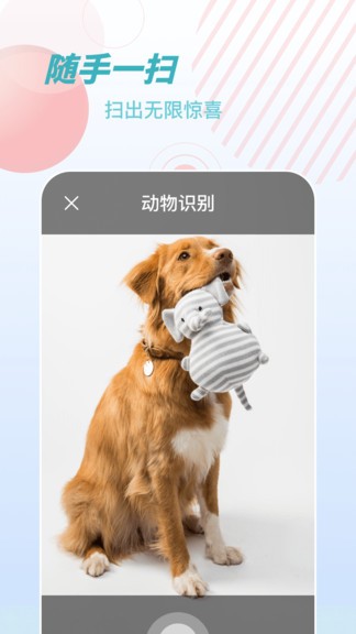 物品识别师 1