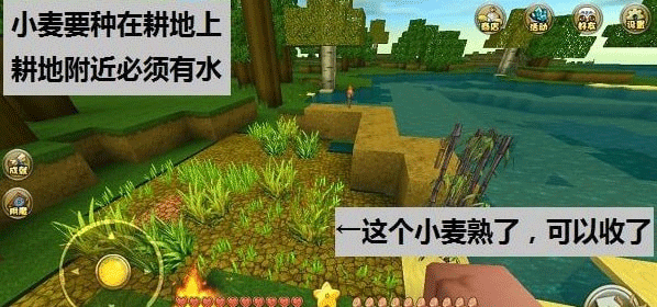 迷你世界老版本0.44.2版本