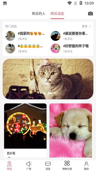 戎宠app 1