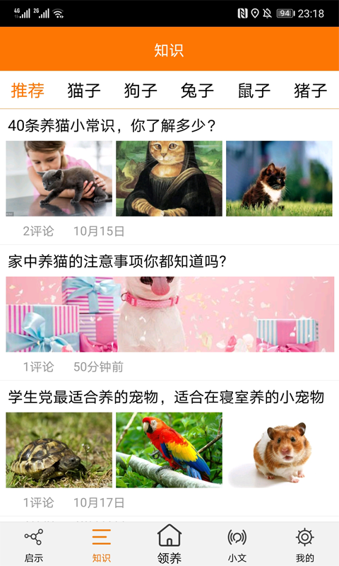 宠物公益 2