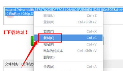 磁力猫ios版