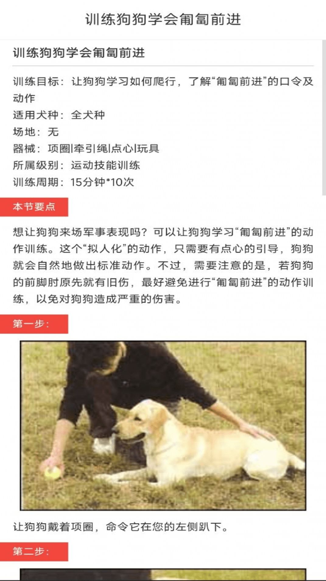 动物对话翻译器 1