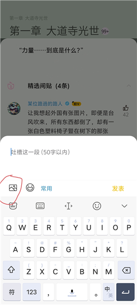 刺猬猫