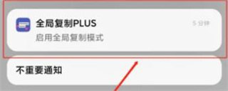 全局复制