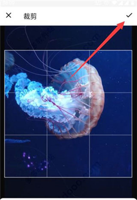 钓鱼人app