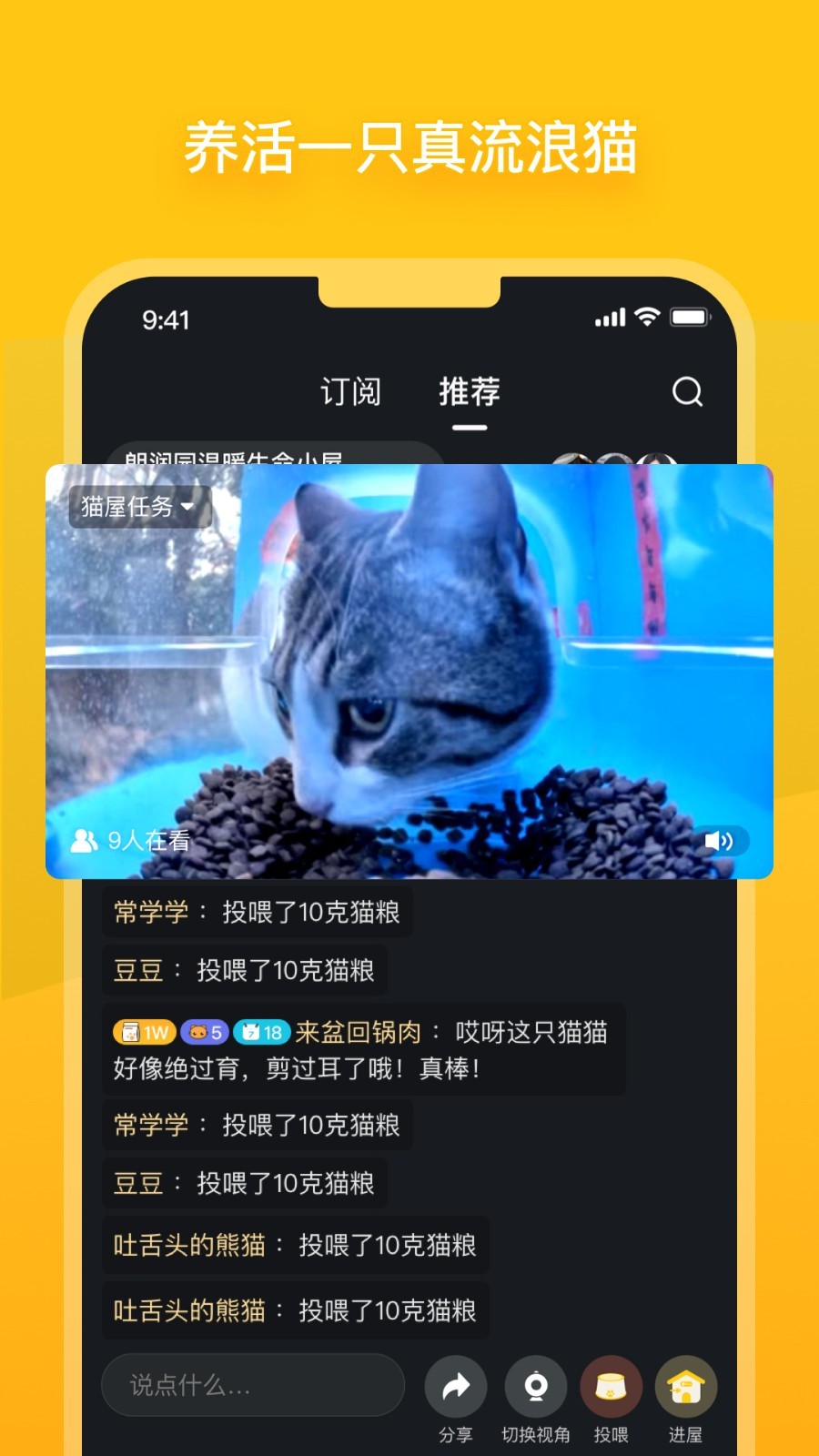 街猫新版 2