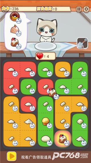 养只大肥猫