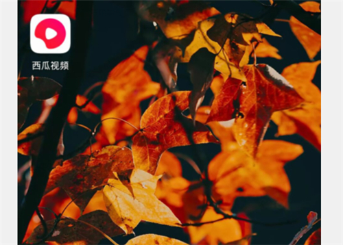 西瓜视频下载安装免费下载