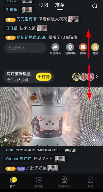 街猫新版 1