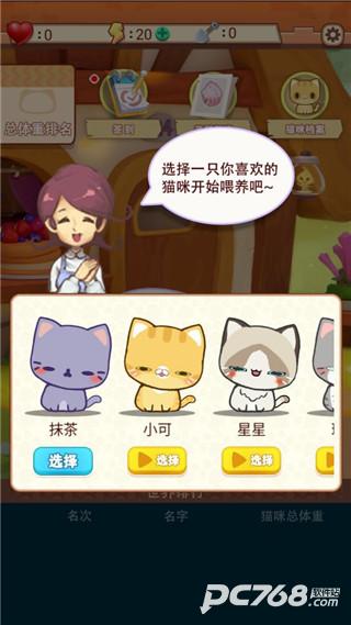 养只大肥猫