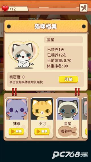 养只大肥猫