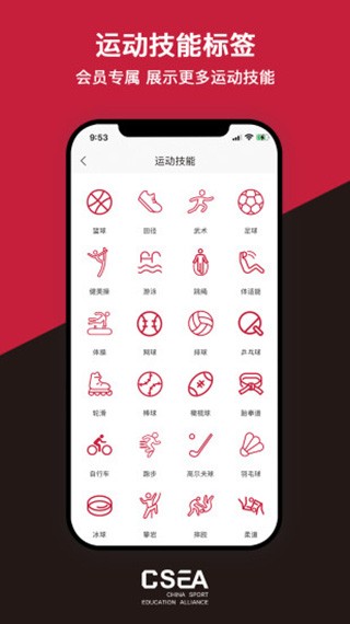 体教联盟 1