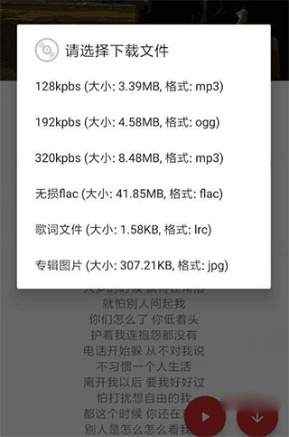 qmd音乐下载器安卓最新版