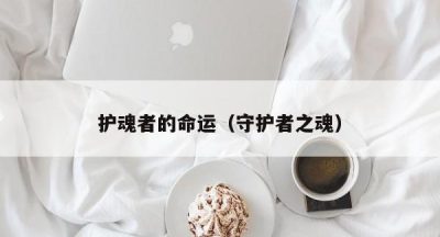 护魂者的命运（守护者之魂）