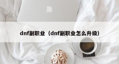 dnf副职业（dnf副职业怎么升级）