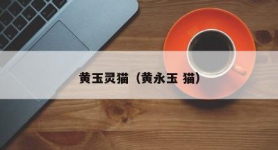 黄玉灵猫（黄永玉 猫）