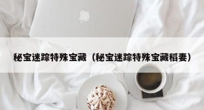 秘宝迷踪特殊宝藏（秘宝迷踪特殊宝藏稻妻）