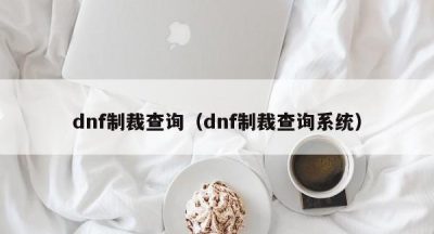 dnf制裁查询（dnf制裁查询系统）
