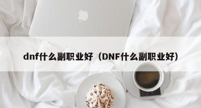 dnf什么副职业好（DNF什么副职业好）