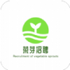 菜芽招聘