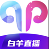 白羊直播app