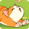 猫咪解压馆