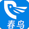 春鸟软件 v12.3.1手机版