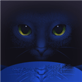 夜猫影视v3.60版