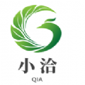 小洽影视网正式版