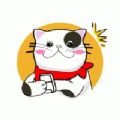 猫番阅读-最好用的小说漫画神器v1.1.22