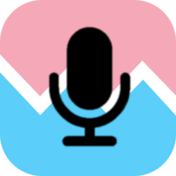 voice tools安卓汉化版
