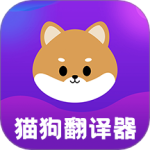宠物猫狗交流