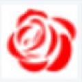 残花影视免登录版