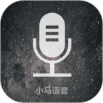 语音翻译