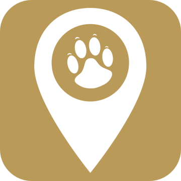 宠物智能伴侣app